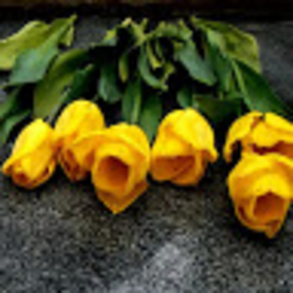 Meet your Posher, Petal